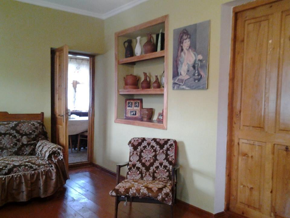 Marine's Guest House Ananuri Extérieur photo