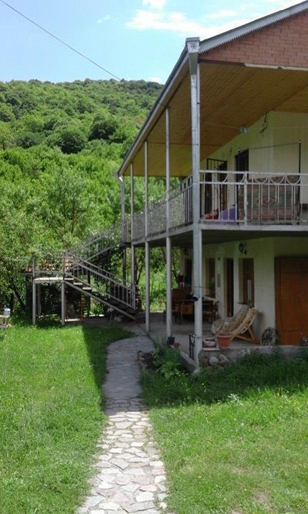 Marine's Guest House Ananuri Extérieur photo