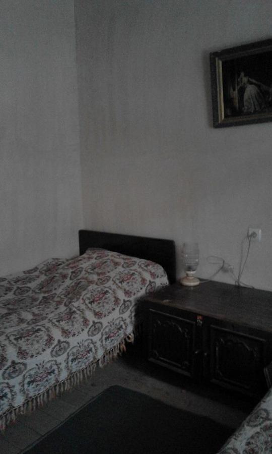 Marine's Guest House Ananuri Extérieur photo