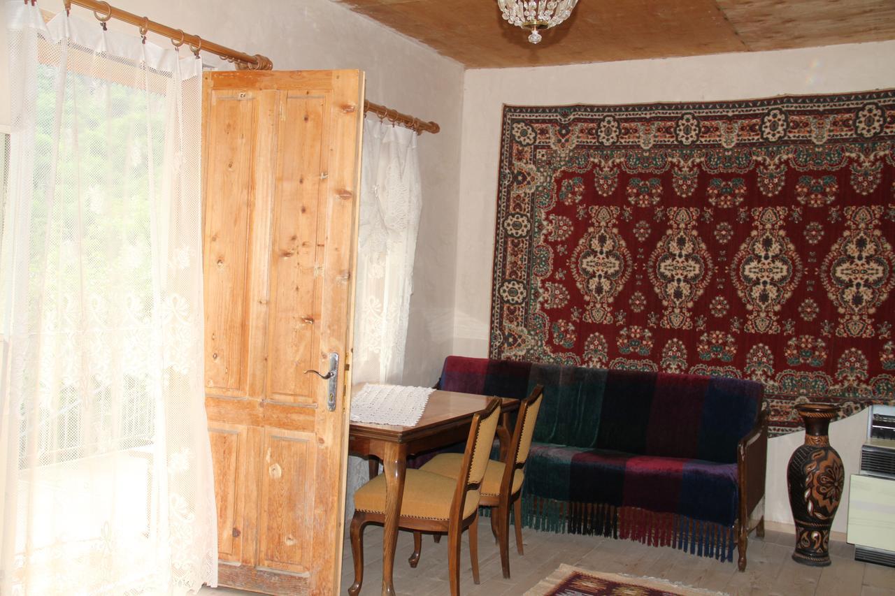 Marine's Guest House Ananuri Extérieur photo